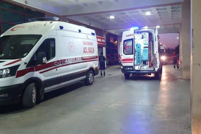 Antalya’da Feci Kaza: Ağaç Kesimi Can Aldı, Soruşturma Başlatıldı